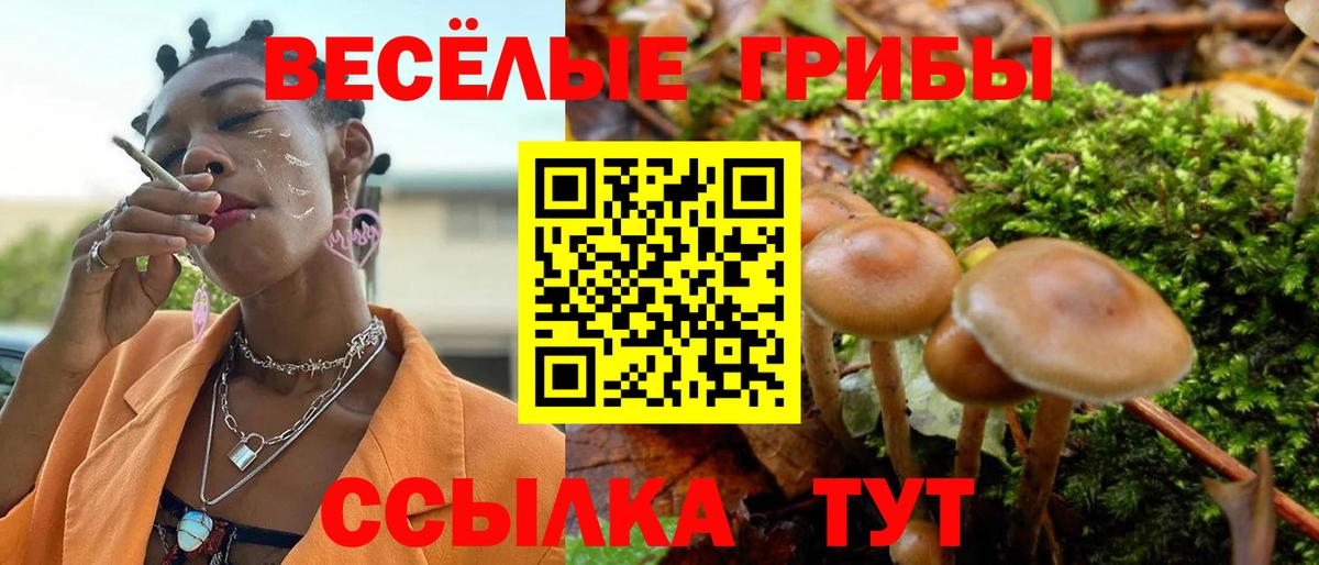 Канабис  КЕТАМИН  Верхняя Пышма  MDMA  Гашиш  Вход с VPN  МЕФ кристаллы  ГАШ  Cocaine  Вейп ТГК 